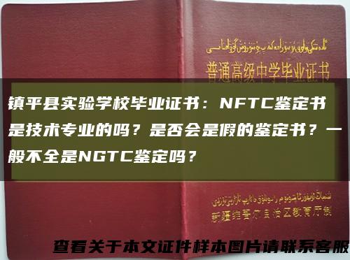 镇平县实验学校毕业证书：NFTC鉴定书是技术专业的吗？是否会是假的鉴定书？一般不全是NGTC鉴定吗？缩略图