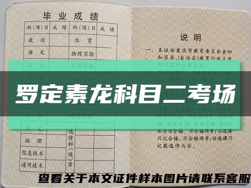 罗定素龙科目二考场缩略图