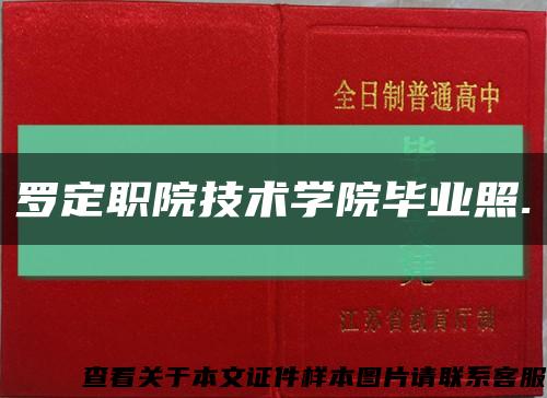 罗定职院技术学院毕业照.缩略图