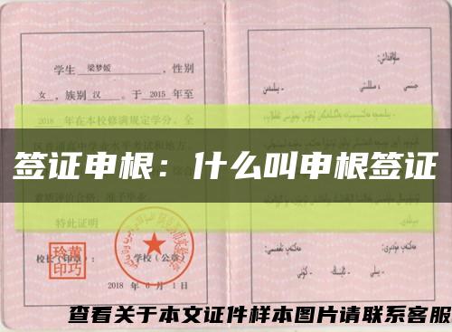 签证申根：什么叫申根签证缩略图