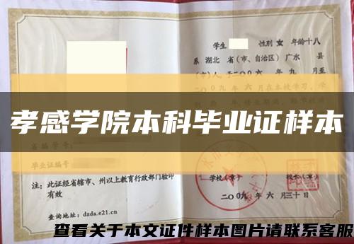 孝感学院本科毕业证样本缩略图