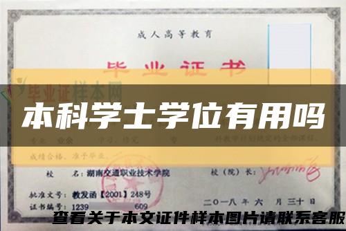 本科学士学位有用吗缩略图