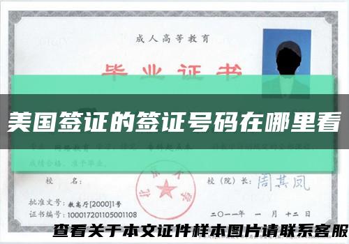 美国签证的签证号码在哪里看缩略图