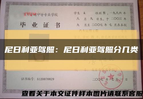 尼日利亚驾照：尼日利亚驾照分几类缩略图