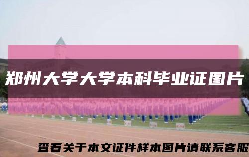郑州大学大学本科毕业证图片缩略图