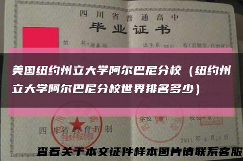 美国纽约州立大学阿尔巴尼分校（纽约州立大学阿尔巴尼分校世界排名多少）缩略图