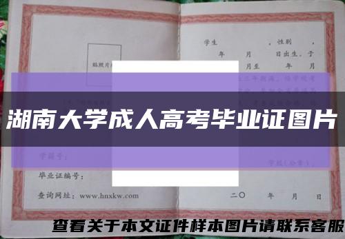 湖南大学成人高考毕业证图片缩略图