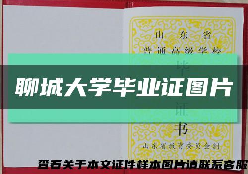 聊城大学毕业证图片缩略图