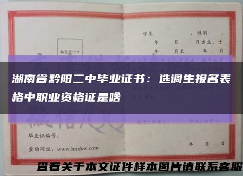 湖南省黔阳二中毕业证书：选调生报名表格中职业资格证是啥缩略图