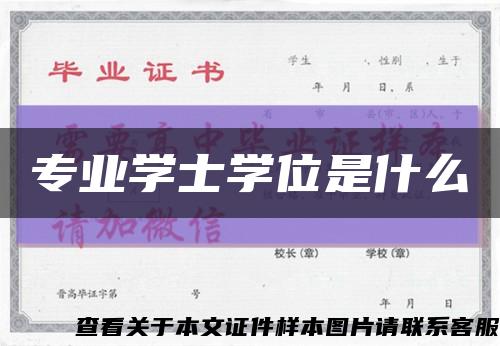 专业学士学位是什么缩略图
