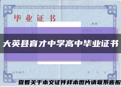 大英县育才中学高中毕业证书缩略图