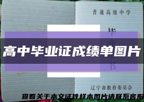 高中毕业证成绩单图片缩略图