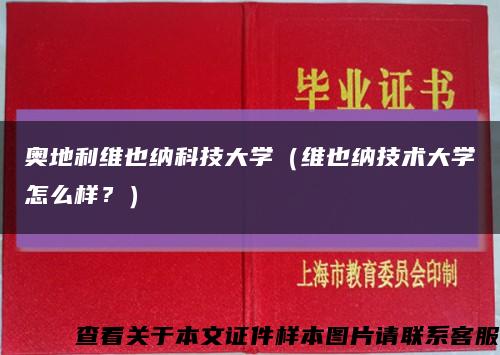 奥地利维也纳科技大学（维也纳技术大学怎么样？）缩略图