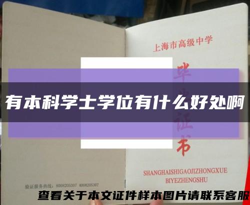 有本科学士学位有什么好处啊缩略图