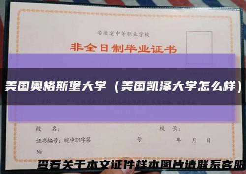 美国奥格斯堡大学（美国凯泽大学怎么样）缩略图