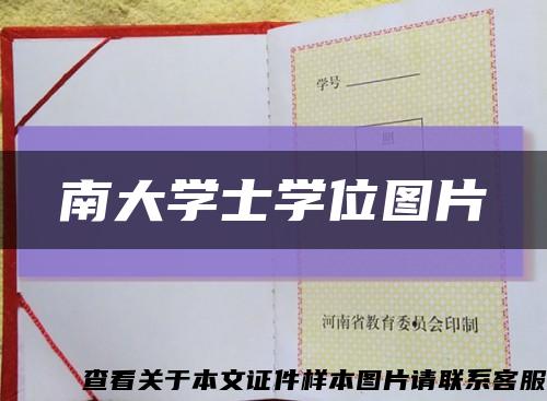 南大学士学位图片缩略图