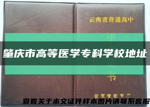 肇庆市高等医学专科学校地址缩略图