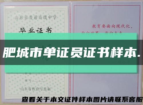 肥城市单证员证书样本.缩略图