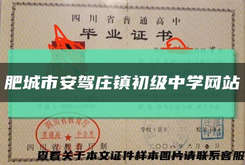 肥城市安驾庄镇初级中学网站缩略图