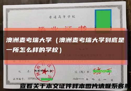 澳洲麦考瑞大学（澳洲麦考瑞大学到底是一所怎么样的学校）缩略图