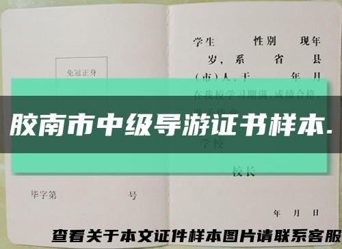 胶南市中级导游证书样本.缩略图