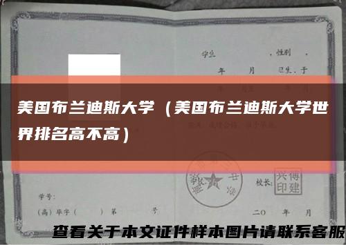 美国布兰迪斯大学（美国布兰迪斯大学世界排名高不高）缩略图