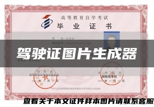 驾驶证图片生成器缩略图