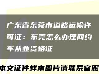 广东省东莞市道路运输许可证：东莞怎么办理网约车从业资格证缩略图