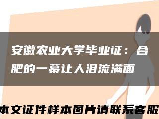 安徽农业大学毕业证：合肥的一幕让人泪流满面缩略图