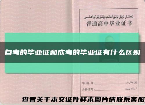 自考的毕业证和成考的毕业证有什么区别缩略图