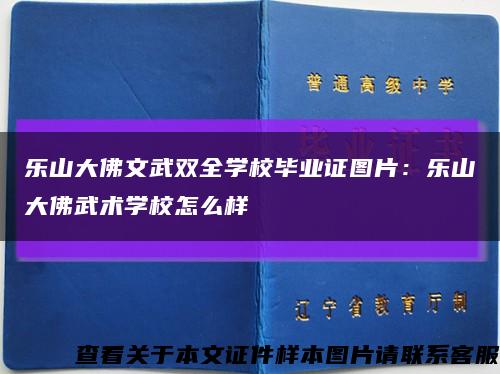 乐山大佛文武双全学校毕业证图片：乐山大佛武术学校怎么样缩略图
