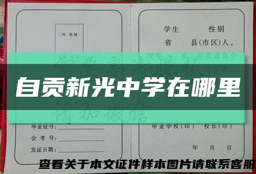 自贡新光中学在哪里缩略图