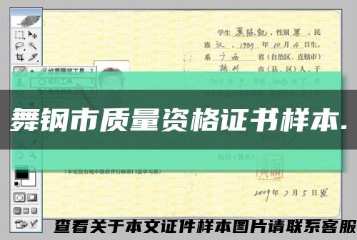 舞钢市质量资格证书样本.缩略图