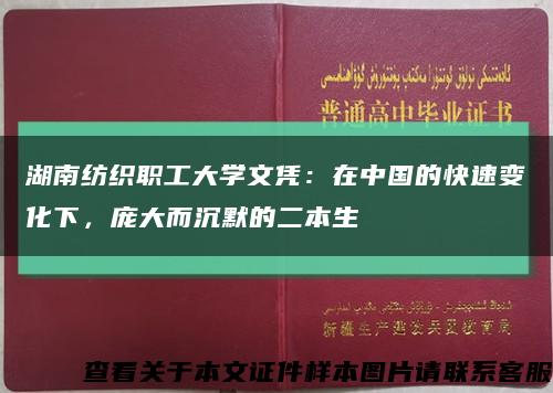湖南纺织职工大学文凭：在中国的快速变化下，庞大而沉默的二本生缩略图