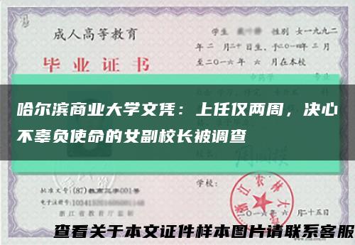 哈尔滨商业大学文凭：上任仅两周，决心不辜负使命的女副校长被调查缩略图