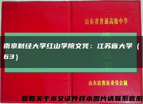 南京财经大学红山学院文凭：江苏省大学（63）缩略图