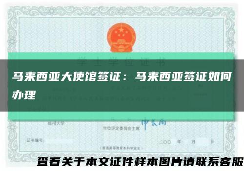 马来西亚大使馆签证：马来西亚签证如何办理缩略图