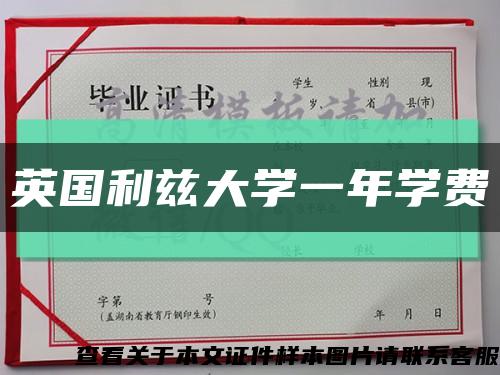 英国利兹大学一年学费缩略图