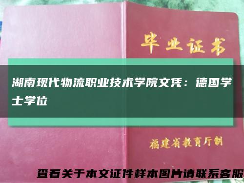 湖南现代物流职业技术学院文凭：德国学士学位缩略图