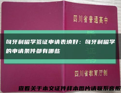 匈牙利留学签证申请表填好：匈牙利留学的申请条件都有哪些缩略图