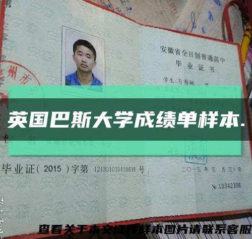 英国巴斯大学成绩单样本.缩略图