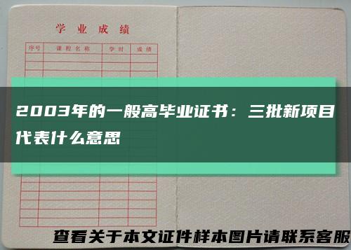2003年的一般高毕业证书：三批新项目代表什么意思缩略图