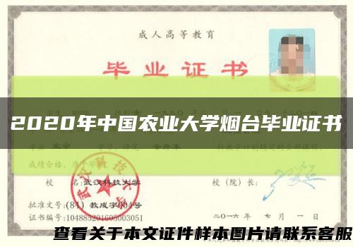 2020年中国农业大学烟台毕业证书缩略图