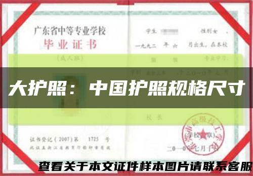 大护照：中国护照规格尺寸缩略图
