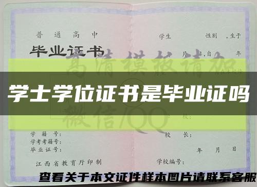 学士学位证书是毕业证吗缩略图