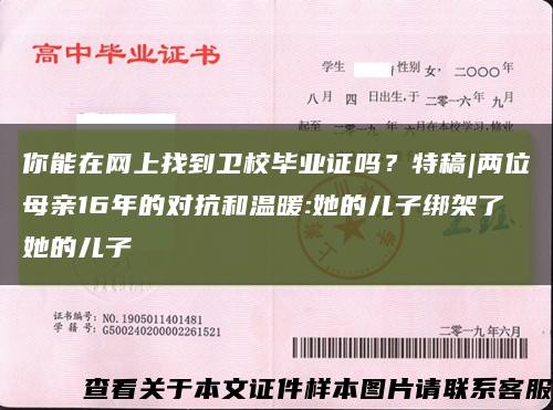 你能在网上找到卫校毕业证吗？特稿|两位母亲16年的对抗和温暖:她的儿子绑架了她的儿子缩略图