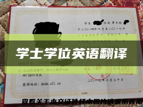 学士学位英语翻译缩略图