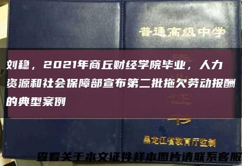 刘稳，2021年商丘财经学院毕业，人力资源和社会保障部宣布第二批拖欠劳动报酬的典型案例缩略图