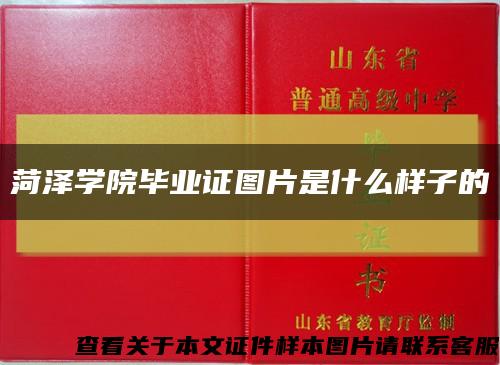 菏泽学院毕业证图片是什么样子的缩略图