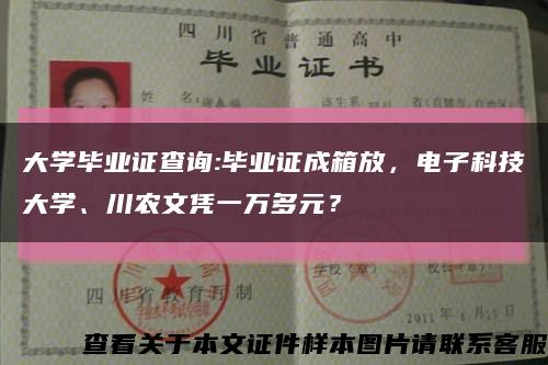 大学毕业证查询:毕业证成箱放，电子科技大学、川农文凭一万多元？缩略图